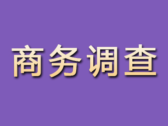 界首商务调查